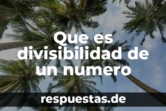 Concepto de que es la divisibilidad 7 Que es divisibilidad de un numero