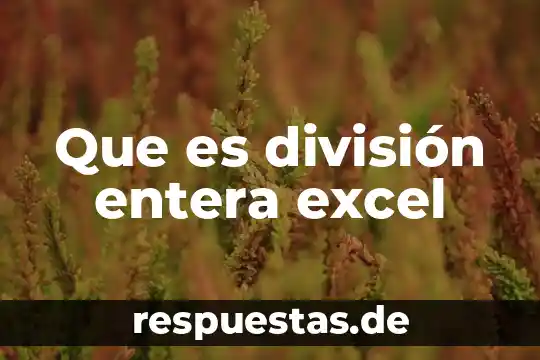 Qué es el concepto de división 5 Que es división entera excel