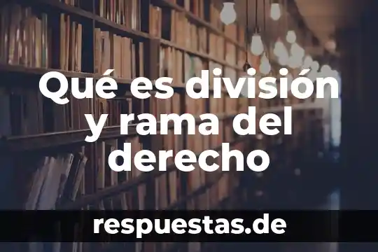 Qué es el concepto de división 4 Qué es división y rama del derecho