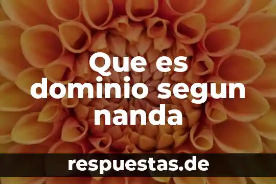 Que es un dominio en active directory 8 Que es dominio segun nanda