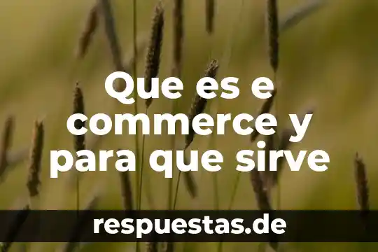 Qué es número e juzgado 6 Que es e commerce y para que sirve