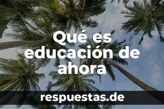 Que es la historia ahora canadie david 5 Qué es educación de ahora