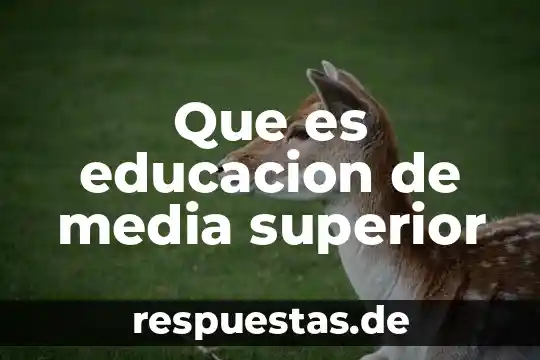 Que es nivel basico medio superior y superior 7 Que es educacion de media superior
