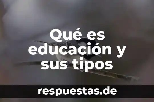 Que es el paradigma en la educacion 6 Qué es educación y sus tipos
