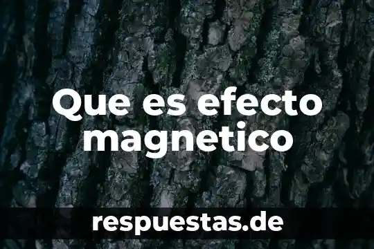 Que es efecto magnetico