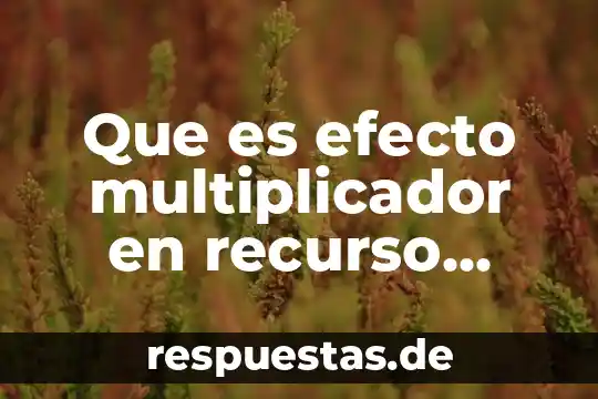 Que es el ser humano para blas pascal 3 Que es efecto multiplicador en recurso humano