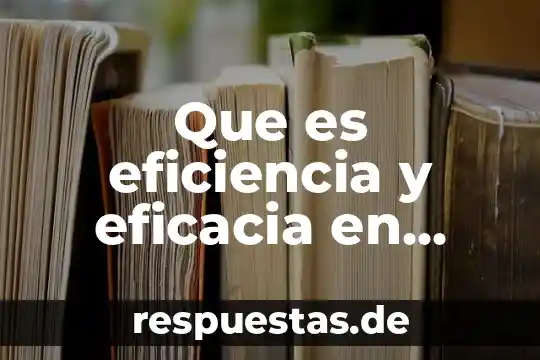 Que es la justicia aplicada en la salud 6 Que es eficiencia y eficacia en salud