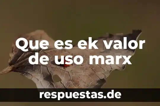 Según Marx que es el capital 3 Que es ek valor de uso marx