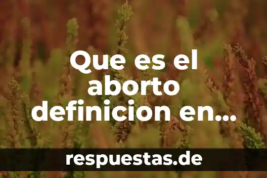 Qué es la democracia definición y concepto 8 Que es el aborto definicion en ingles