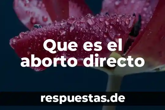 Qué es el aborto concepto 6 Que es el aborto directo