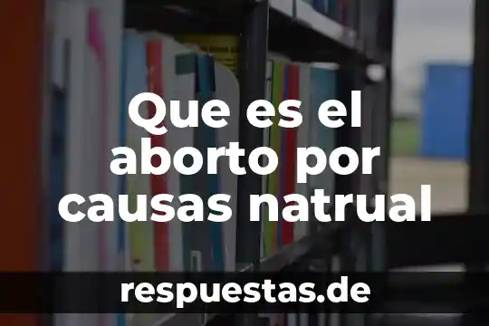 Qué es el aborto concepto 5 Que es el aborto por causas natrual
