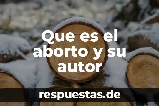 Qué es el aborto concepto 3 Que es el aborto y su autor