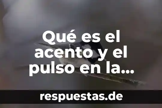 Qué es el acento prosódico y un ejemplo 4 Qué es el acento y el pulso en la música