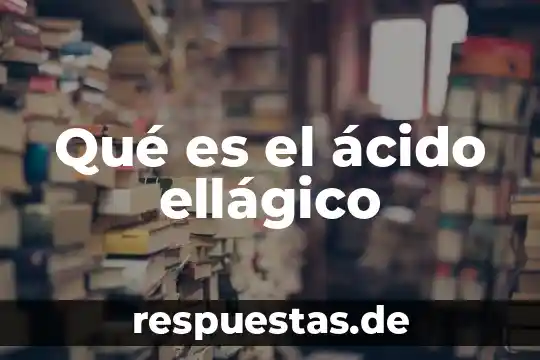 ¿Qué es un ácido butírico? 3 Qué es el ácido ellágico