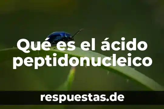 Qué es el ácido ellágico 4 Qué es el ácido peptidonucleico