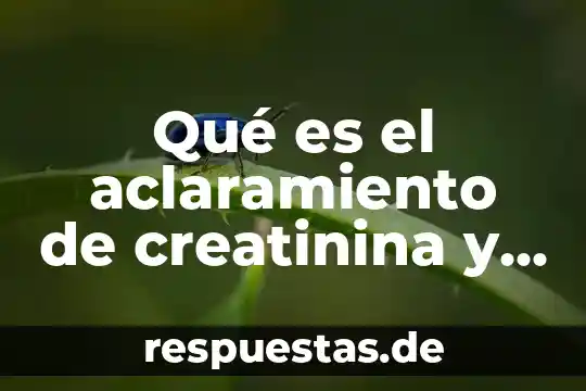 Que es el desarrollo de valores 3 Qué es el aclaramiento de creatinina y valores normales
