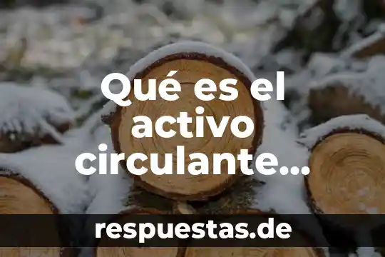 Que es un activo subyaacente 5 Qué es el activo circulante ejemplos