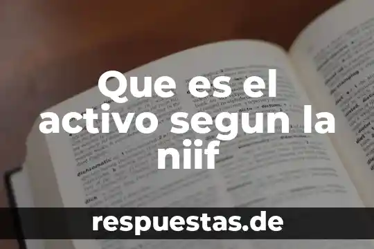 Que es una niif norma de informacion financiera concepto 3 Que es el activo segun la niif