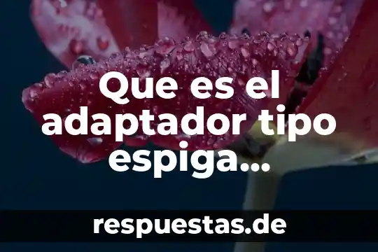Que es el adaptador tipo espiga maquinas de inyeccion