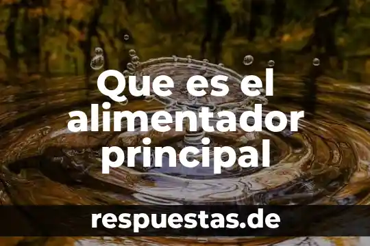Z de altman que es 8 Que es el alimentador principal