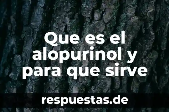 Que es kaizen administracion 8 Que es el alopurinol y para que sirve