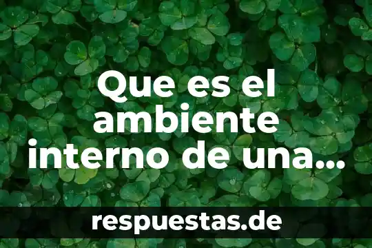 Que es el conocimiento interno 7 Que es el ambiente interno de una organizacion