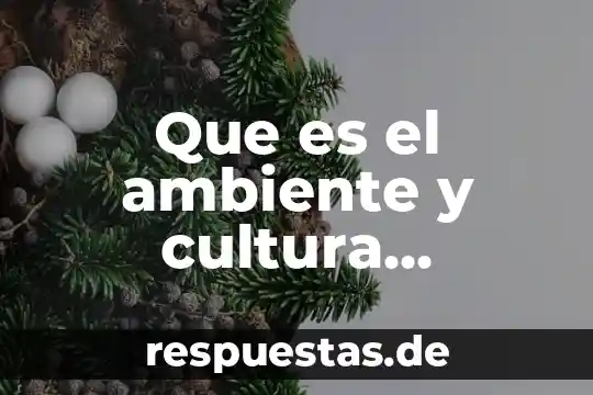 Qué es un bar de ambiente 4 Que es el ambiente y cultura organizacional de una empresa
