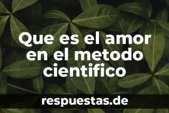Que es modelo científico ilustrar con recortes 6 Que es el amor en el metodo cientifico
