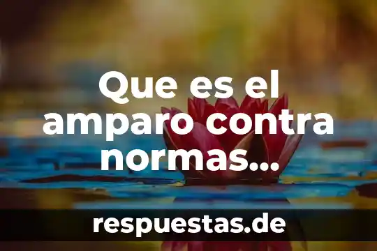 Qué es intacto significado 7 Que es el amparo contra normas generales