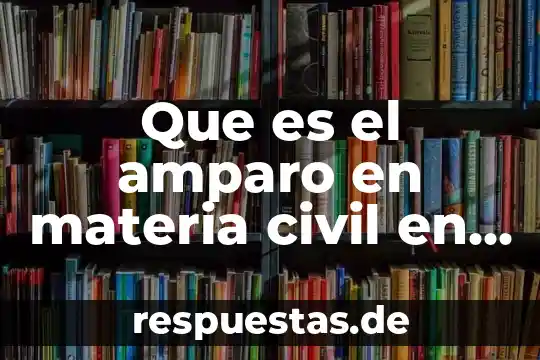 Qué es un juicio de amparo definición corta 7 Que es el amparo en materia civil en mexico