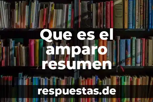 Que es el principio de instancia de parte en amparo 7 Que es el amparo resumen