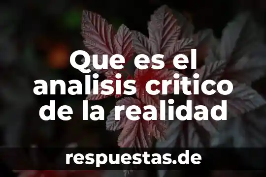 Que es la realidad segunn la psicologia social you tobe 3 Que es el analisis critico de la realidad