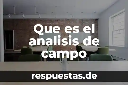 Que es campo de conocimiento 3 Que es el analisis de campo