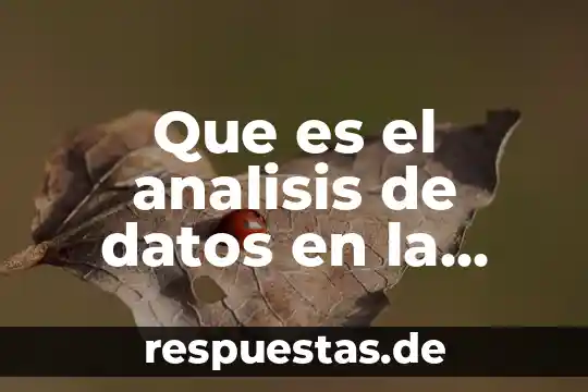 Qué es la investigación cualitativa trackid sp-006 6 Que es el analisis de datos en la investigacion cualitativa