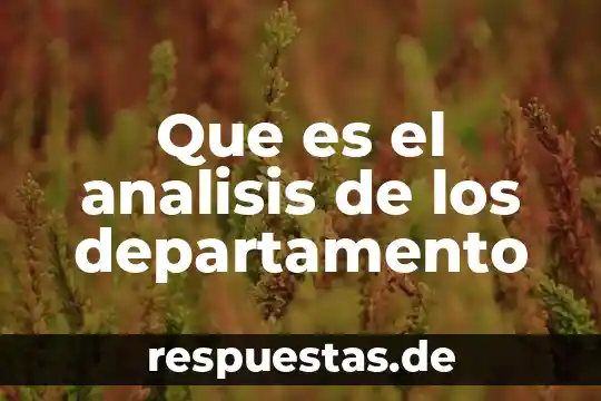 Que es un analisis quimico en alimentos 5 Que es el analisis de los departamento