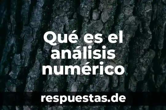 Que es fuenteovejuna significado 6 Qué es el análisis numérico