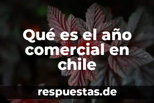 Qué es razón social y nombre comercial de una empresa 5 Qué es el año comercial en chile