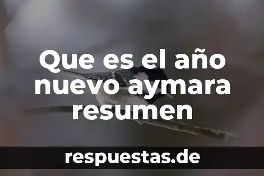 Qué es el criterio de acción 5 Que es el año nuevo aymara resumen