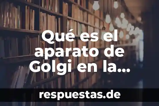 Que es la colina en nutricion animal y vegetal 5 Qué es el aparato de Golgi en la célula vegetal