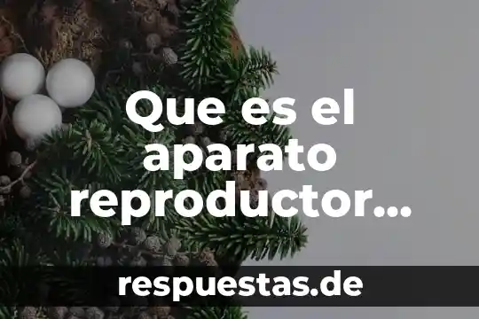 Sistema reproductor que es 4 Que es el aparato reproductor femenino en ingles