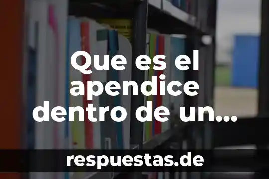 Que es el apendice dentro de un libro