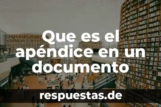 Número de documento que es 4 Que es el apéndice en un documento