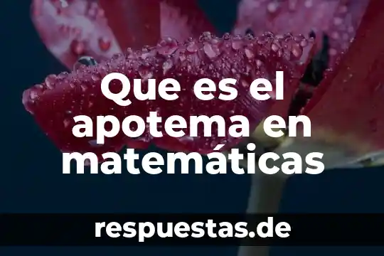 Que es existencia y unicidad en matematicas 5 Que es el apotema en matemáticas