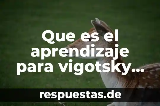 Que es intervencion segun vigotsky 4 Que es el aprendizaje para vigotsky bruner