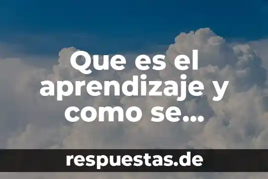 Que es el aprendizaje y como se aprende reforma educativa