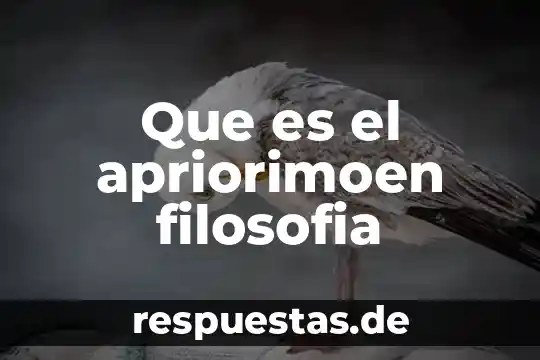 La filosofía: qué es y cómo se practica 8 Que es el apriorimoen filosofia