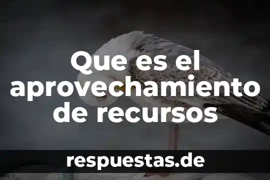 Qué es la optimización de recursos humanos y materiales 6 Que es el aprovechamiento de recursos