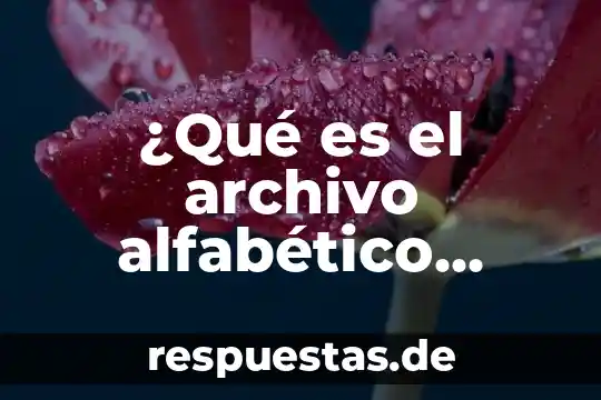 Que es un archivo tipom sua 5 ¿Qué es el archivo alfabético compuesto?