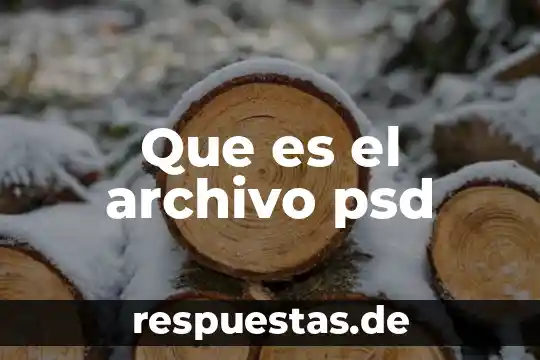 Que es un archivo proxy 7 Que es el archivo psd