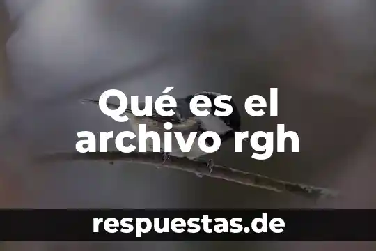Que es el certificado de firma electronica vigente archivo cer 8 Qué es el archivo rgh